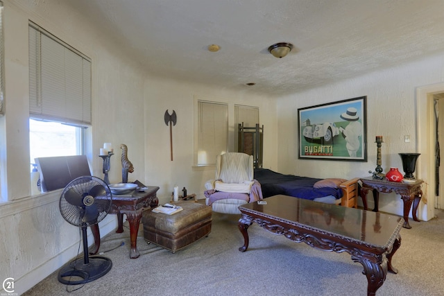 carpeted living room with a textured ceiling