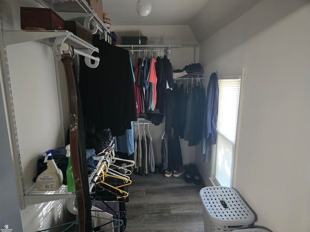 walk in closet with vaulted ceiling and dark hardwood / wood-style flooring