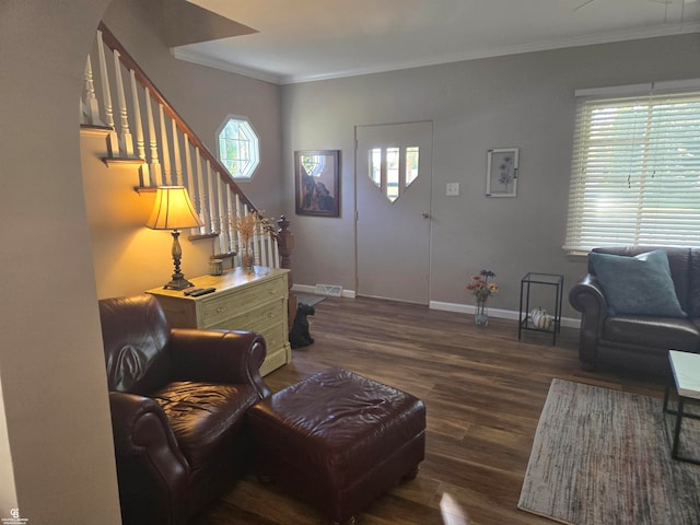 living room featuring ornamental molding and dark hardwood / wood-style flooring