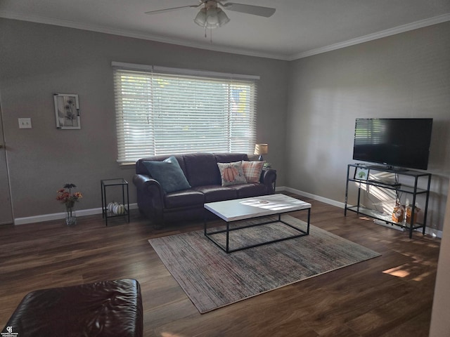 living room featuring crown molding, ceiling fan, and dark wood-type flooring