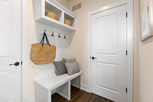 mudroom featuring dark wood-type flooring