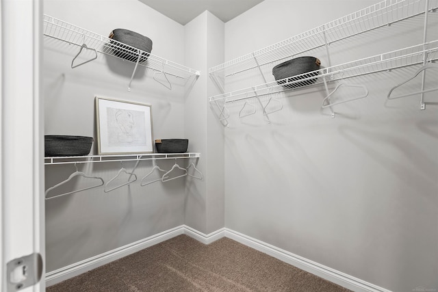 spacious closet with carpet floors