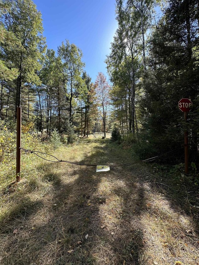 TBD Amvets Highway, Iron River, MI 49935