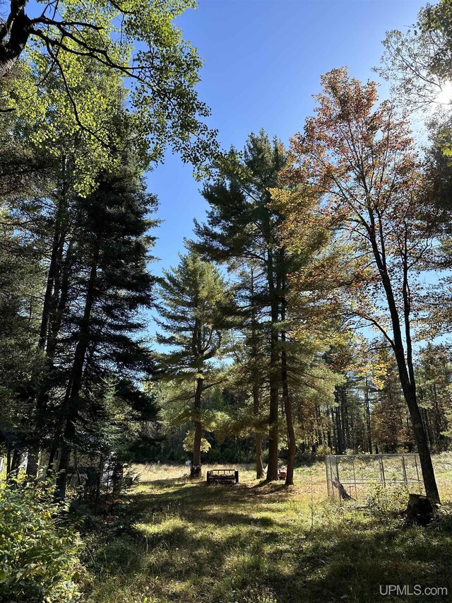 TBD Amvets Highway, Iron River, MI 49935