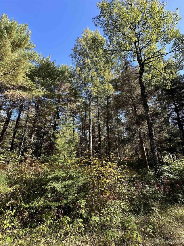 TBD Amvets Highway, Iron River, MI 49935