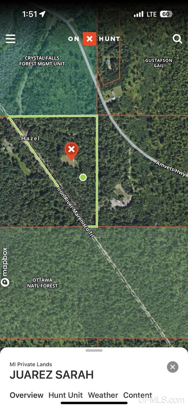 TBD Amvets Highway, Iron River, MI 49935