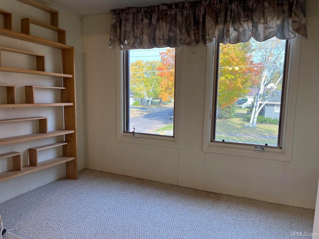 spare room featuring carpet flooring