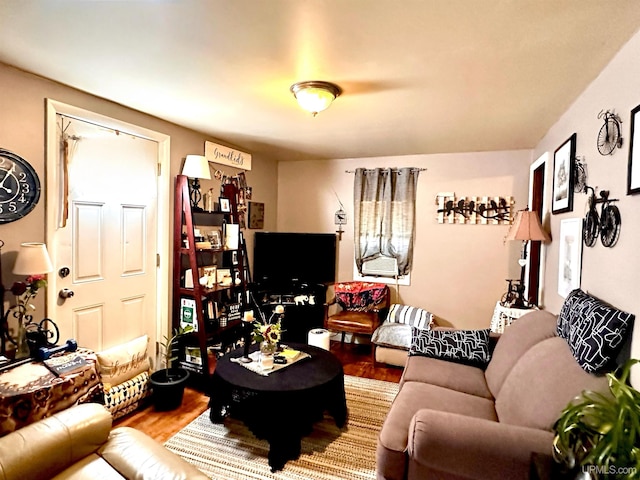 living room with wood-type flooring