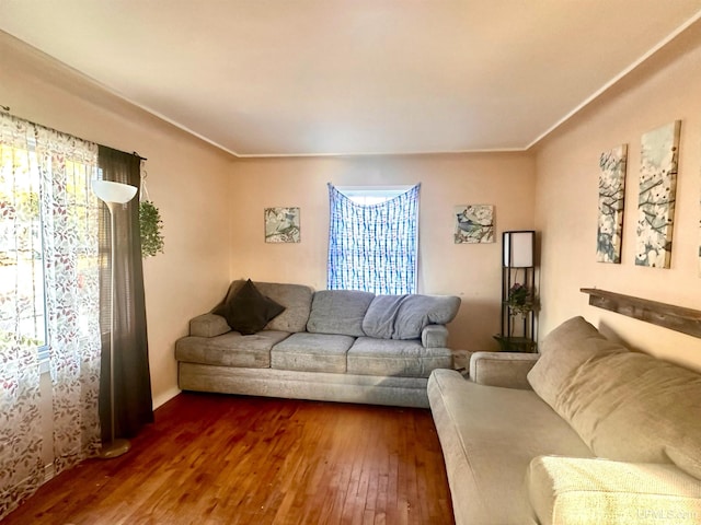 living room with wood-type flooring