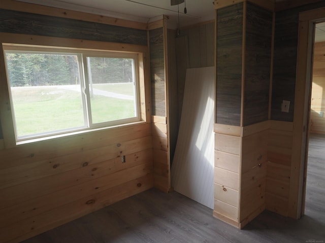 empty room featuring wood walls and wood-type flooring