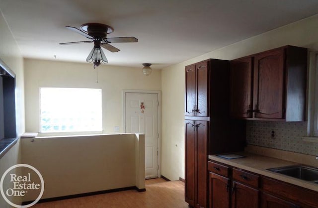 kitchen with ceiling fan, sink, light hardwood / wood-style floors, dark brown cabinets, and backsplash