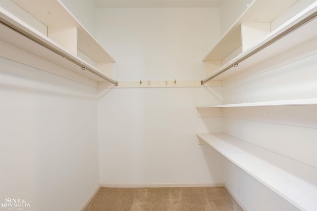 spacious closet with light colored carpet