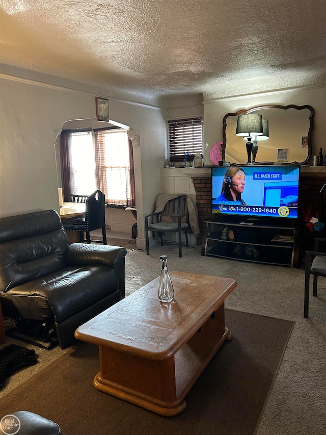 carpeted living room featuring a textured ceiling