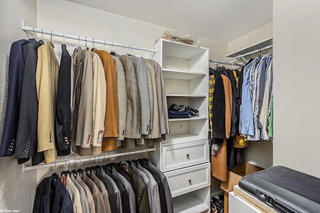 view of walk in closet