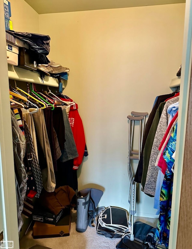 walk in closet with carpet floors