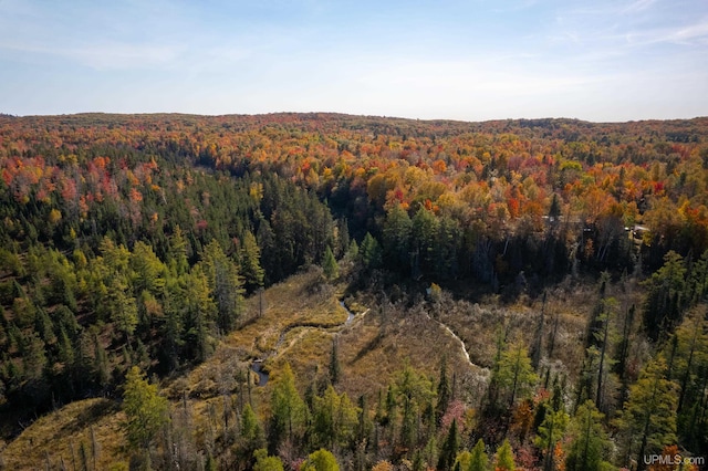 bird's eye view