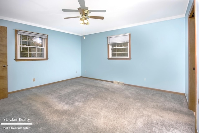 unfurnished room featuring ceiling fan, carpet, and ornamental molding