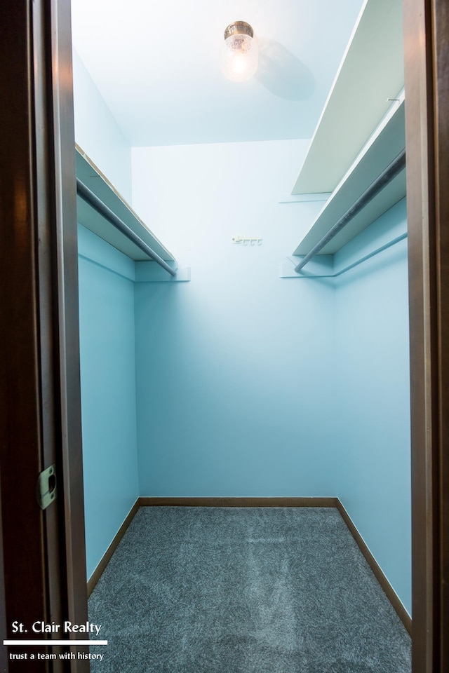 walk in closet featuring carpet