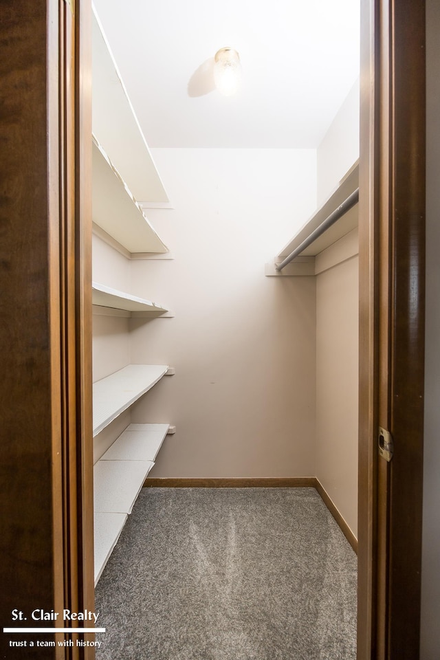 walk in closet with dark carpet