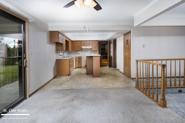 kitchen featuring sink and ceiling fan