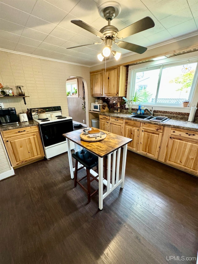 kitchen with ceiling fan, dark hardwood / wood-style floors, sink, and white appliances