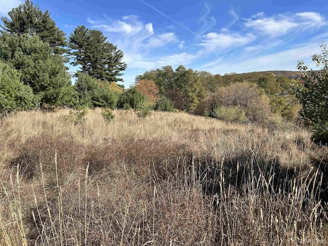 100 W Smith St, Iron Mountain, MI 49801