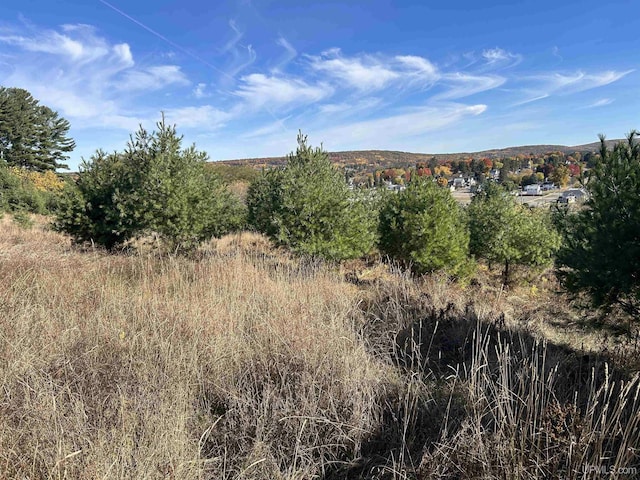 100 W Smith St, Iron Mountain, MI 49801