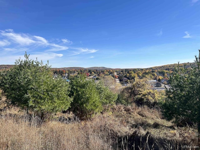 100 W Smith St, Iron Mountain, MI 49801