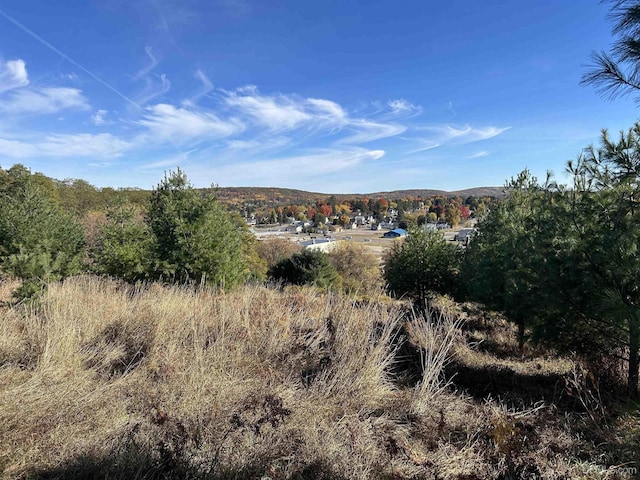 100 W Smith St, Iron Mountain, MI 49801