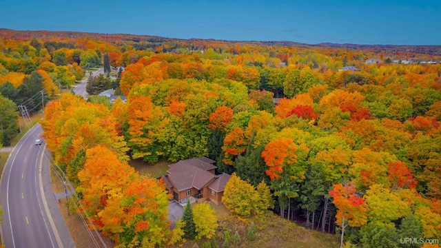 drone / aerial view