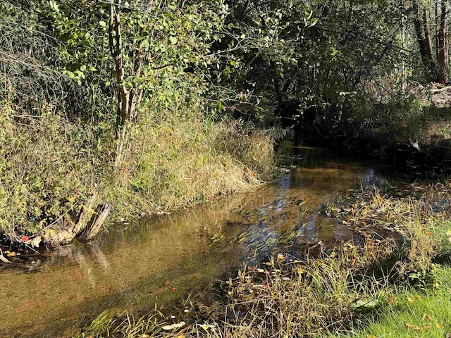 view of local wilderness with a water view