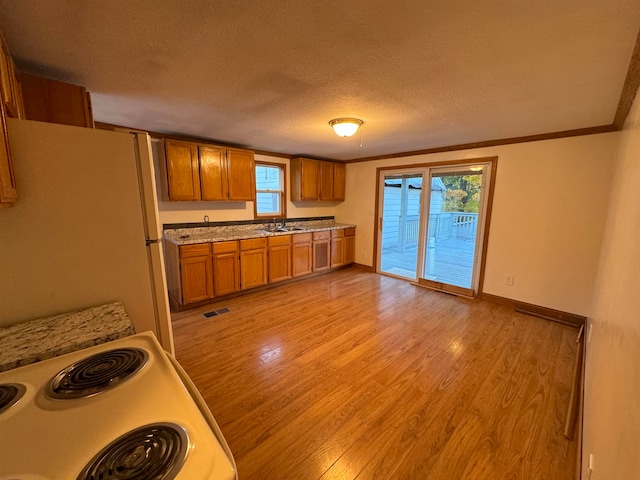 kitchen with light hardwood / wood-style floors, white appliances, sink, and a wealth of natural light