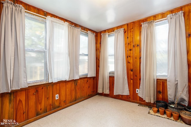 spare room with wood walls and plenty of natural light