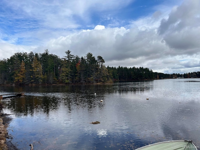 property view of water