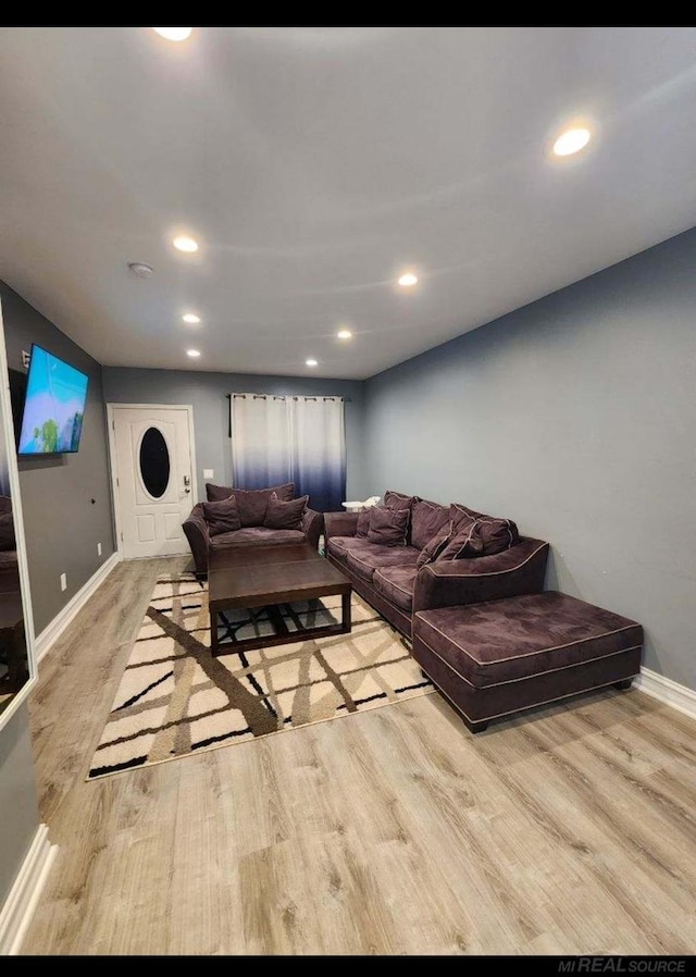 living room featuring light hardwood / wood-style floors