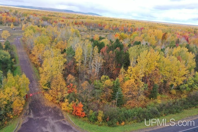 TBD Lp Walsh Road, Ontonagon MI, 49953 land for sale