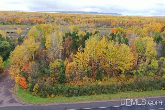 Listing photo 2 for TBD Lp Walsh Road, Ontonagon MI 49953