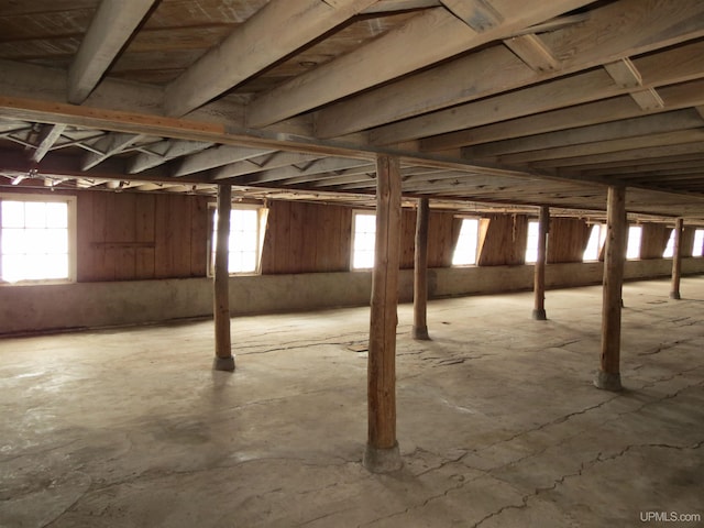 basement featuring a healthy amount of sunlight