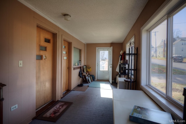 interior space with carpet, a textured ceiling, a healthy amount of sunlight, and wooden walls