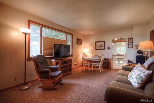 carpeted living room with a wealth of natural light