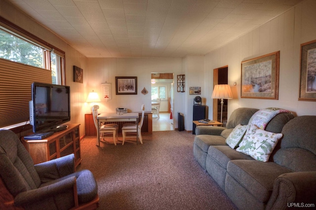 living room with carpet floors