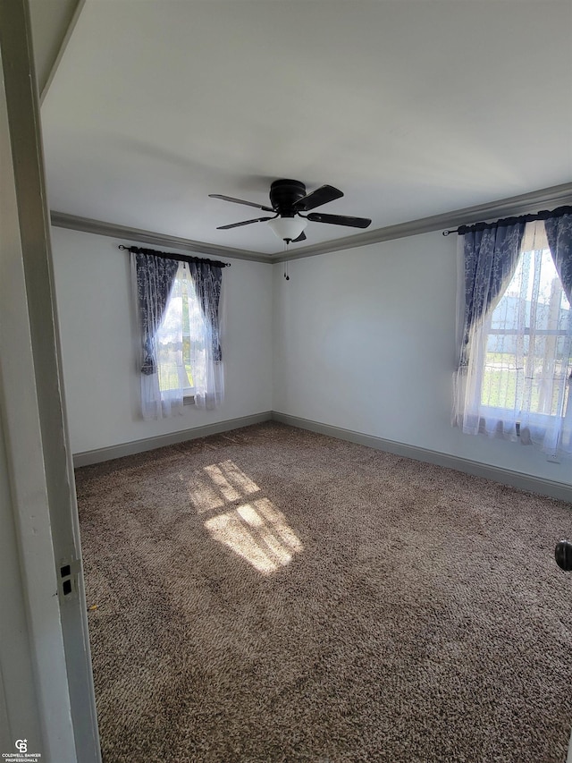 carpeted spare room featuring crown molding, ceiling fan, and plenty of natural light