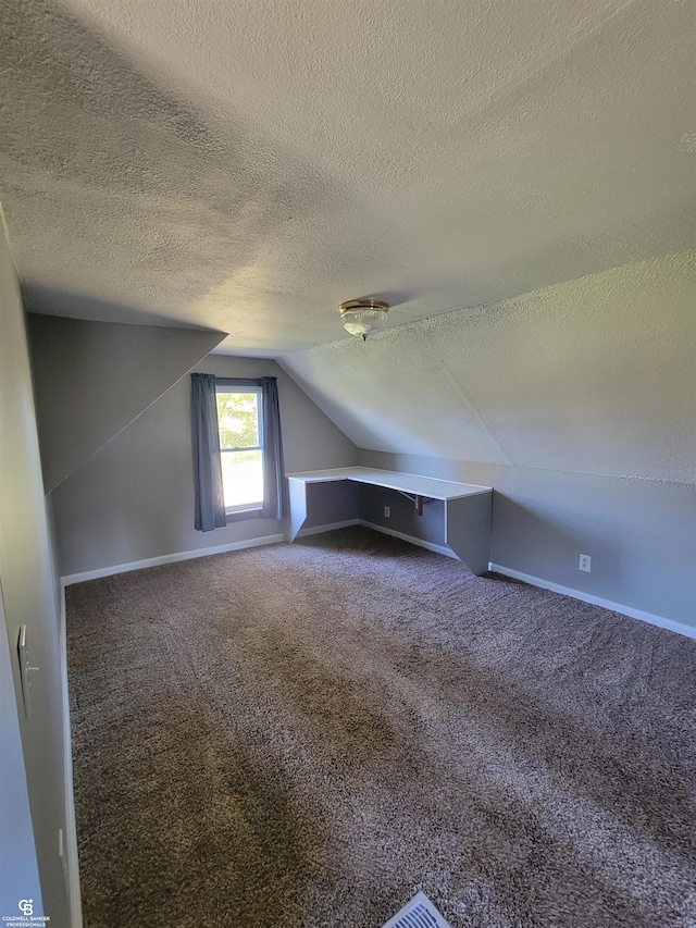 additional living space featuring lofted ceiling, a textured ceiling, and carpet floors