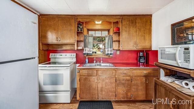 kitchen with sink, light hardwood / wood-style floors, and white appliances