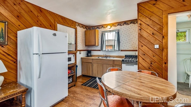 kitchen with plenty of natural light, light hardwood / wood-style flooring, white appliances, and wood walls