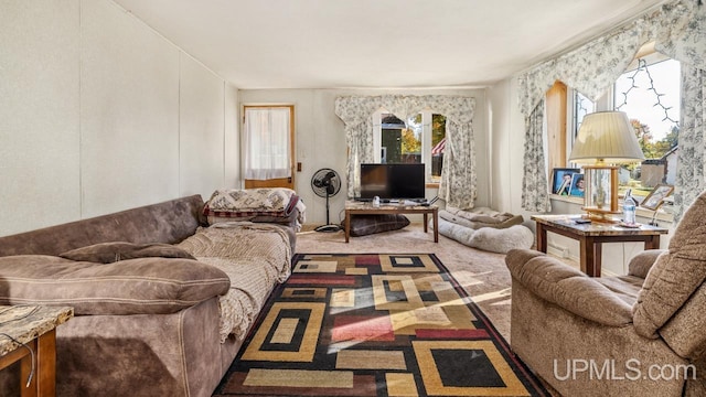 carpeted living room with plenty of natural light