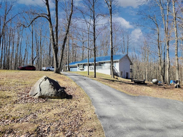 5206 Wolf Ln, Farwell, MI 48622 - view of asphalt driveway