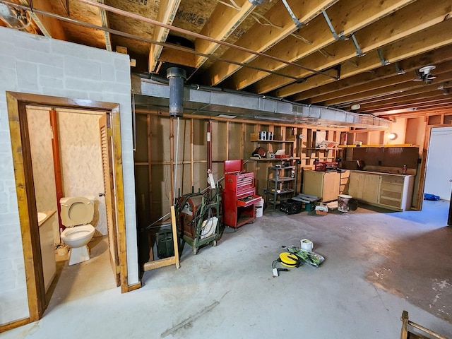 5206 Wolf Ln, Farwell, MI 48622 - view of unfinished basement