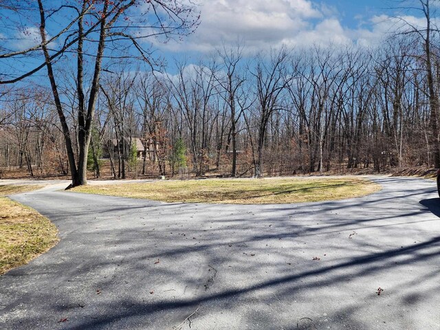 5206 Wolf Ln, Farwell, MI 48622 - view of road