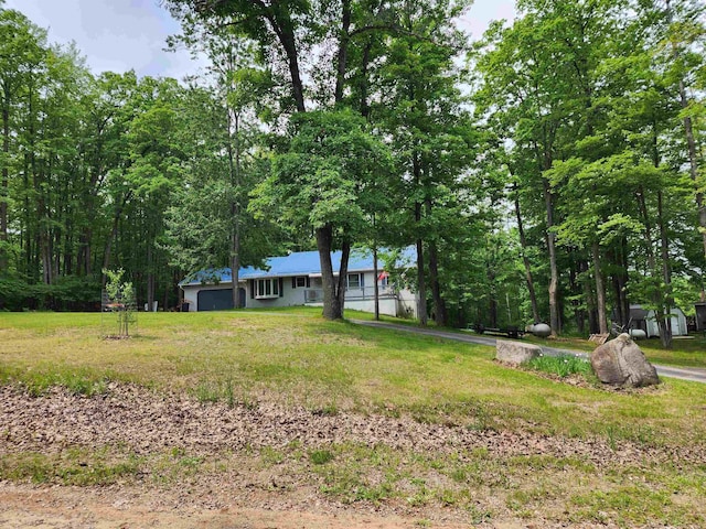 5206 Wolf Ln, Farwell, MI 48622 - view of grassy yard